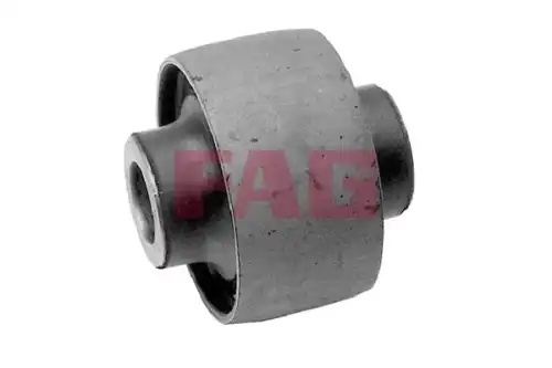 Рычаг подвески FAG 829 0070 10