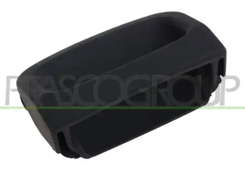 Ручка двери PRASCO FT9208801