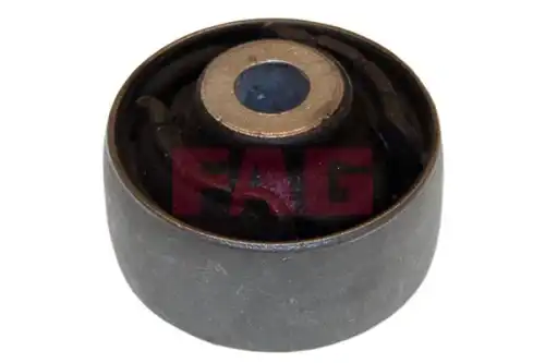 Рычаг подвески FAG 829 0315 10