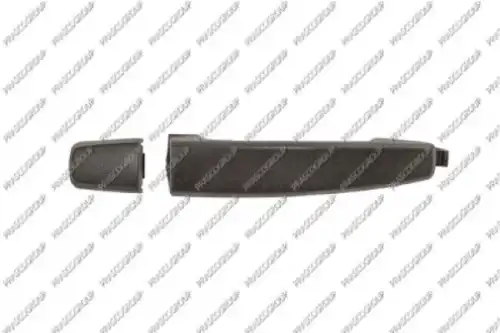 Ручка двери PRASCO DW7208001
