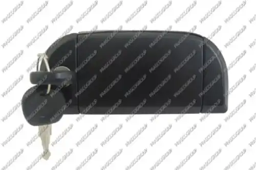 Ручка двери PRASCO VG9138041