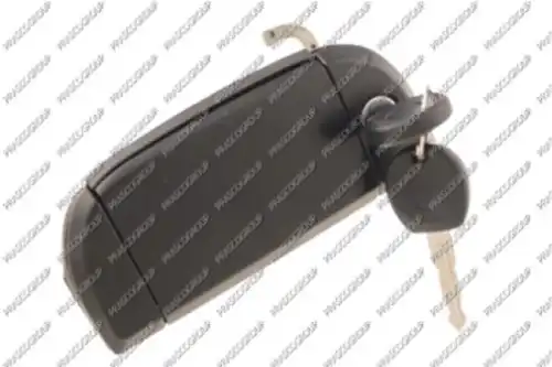 Ручка двери PRASCO VG9138042