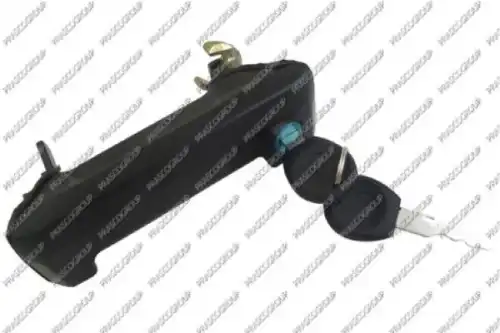 Ручка двери PRASCO VG9138141