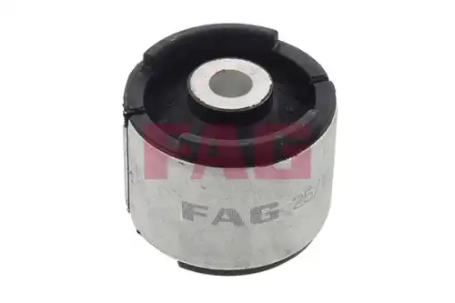 Рычаг подвески FAG 829 0017 10