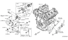Водяной шланг масляного радиатора 21306JK51B INFINITI
