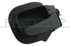 Ручка двери PRASCO BM0148401
