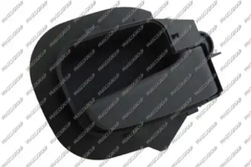 Ручка двери PRASCO BM0148401