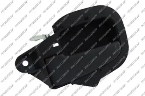 Ручка двери PRASCO BM0148402