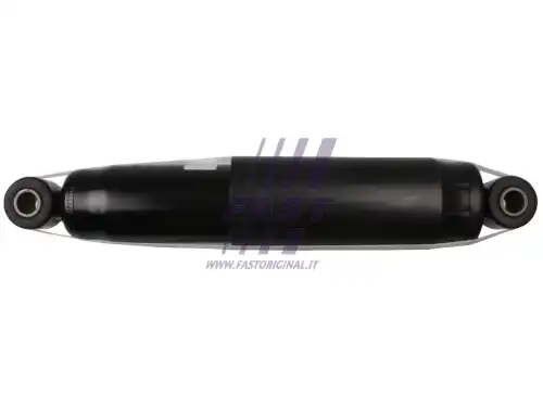 (FT11047/FAST)