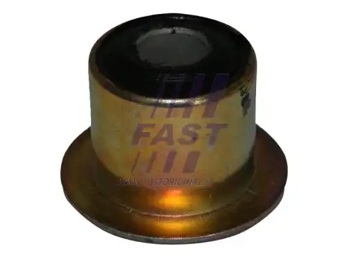 (FT18147/FAST)