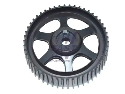 (FT45593/FAST)