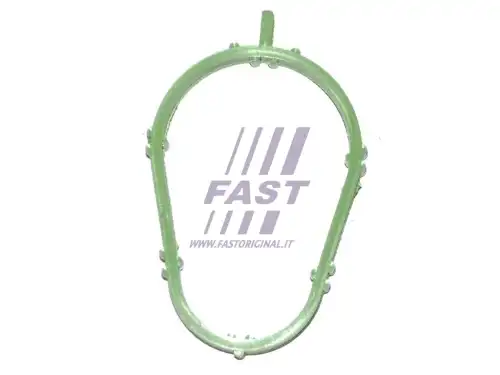 FAST FT49412