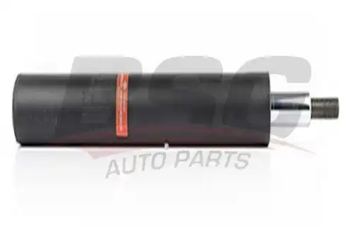 Амортизатор BSG 90-300-029 BSG