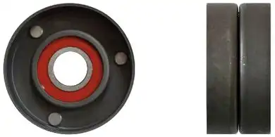 Ролик натяжителя P226006 DENCKERMANN