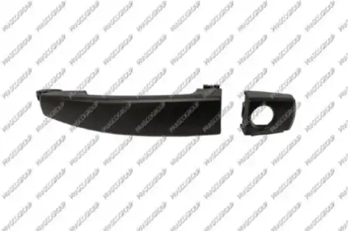 Ручка двери PRASCO OP0568004