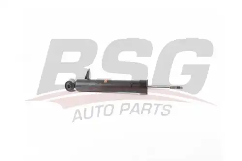 Амортизатор BSG 15-300-040 BSG