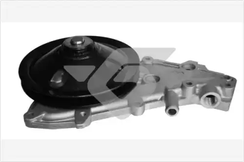 Водяной насос WP119 HUTCHINSON