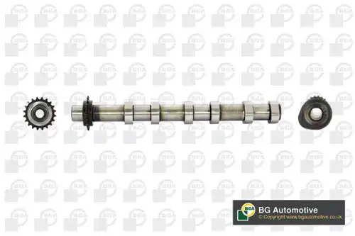 Распредвал BGA CS4200