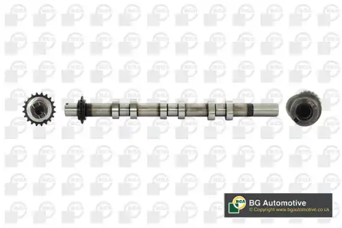 Распредвал BGA CS4203