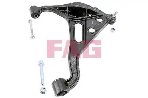 Рычаг подвески FAG 821 0646 10