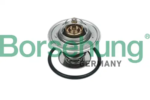 Термостат системы охлаждения BORSEHUNG B18265