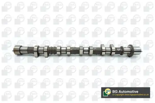 Распредвал BGA CS3620