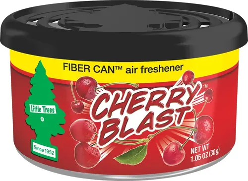 CAR FRESHNER CF-UFC-17811