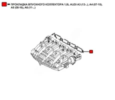 Прокладка коллектора WENDERW WERK011