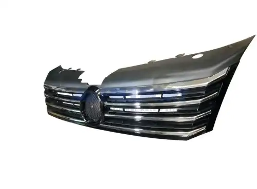 Решетка радиатора HILLPORT VHP3111C