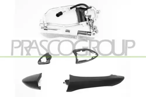 Ручка двери PRASCO BM8208004