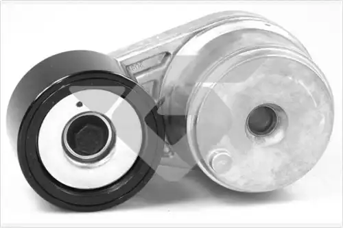 Poly-V tensioner roller TK040 HUTCHINSON