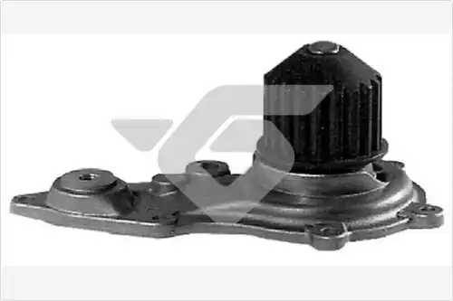 Water pumps WP300 HUTCHINSON