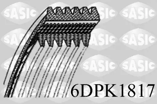 SASIC 6DPK1817
