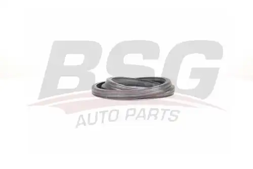 Уплотнитель двери BSG BSG 30-936-016