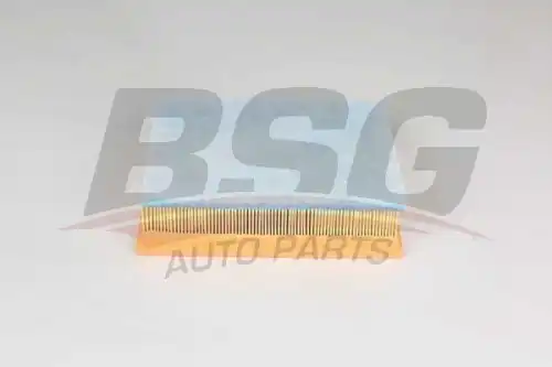 Фильтр воздушный BSG BSG 75-135-021
