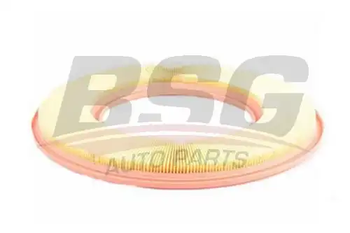 Фильтр воздушный BSG BSG 60-135-015