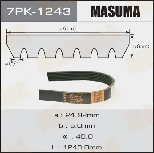 MASUMA 7PK-1243