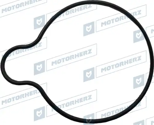 Прокладка насоса ГУР HPP0043HGP MOTORHERZ