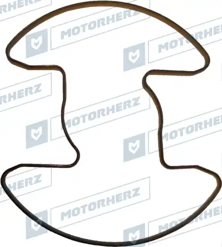 Прокладка насоса ГУР HPP0042HGP MOTORHERZ