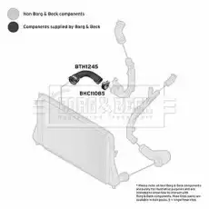 Патрубок воздушный BTH1245 BORG&BECK