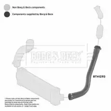 Патрубок воздушный BTH1293 BORG&BECK