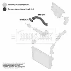Патрубок воздушный BTH1391 BORG&BECK