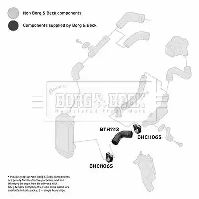 Патрубок воздушный BTH1113 BORG&BECK