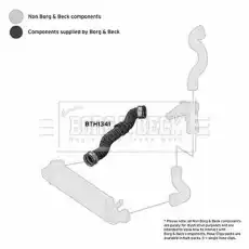 Патрубок воздушный BTH1341 BORG&BECK