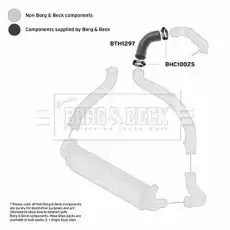 Патрубок воздушный BTH1297 BORG&BECK