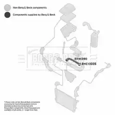Патрубок воздушный BTH1390 BORG&BECK