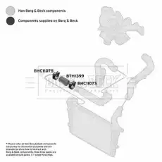 Патрубок воздушный BTH1399 BORG&BECK