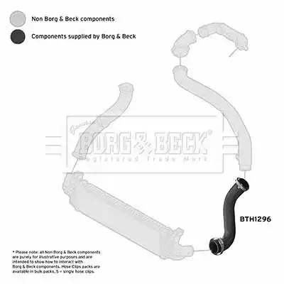 Патрубок воздушный BTH1296 BORG&BECK
