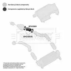 Патрубок воздушный BTH1589 BORG&BECK