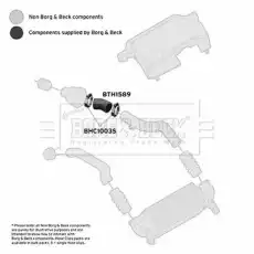 Патрубок воздушный BTH1589 BORG&BECK